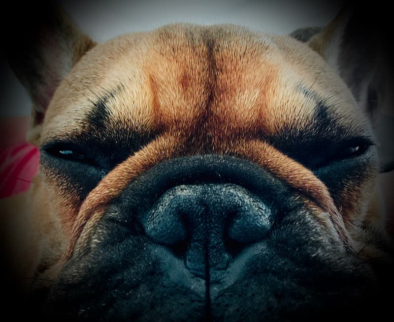 Machine Economics: When AI Eats Software.